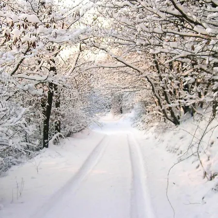 Διαμέρισμα Beautiful In *